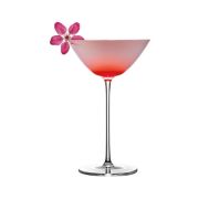 Бокал для коктейля «Daisy» Cocktail Week 155мл.P.L-Barware