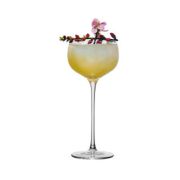 Бокал для коктейля «Aster» Cocktail Week 175мл.P.L-Barware