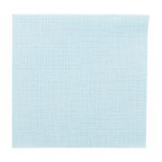 Салфетка Dry Cotton 40*40 см, бирюзовая, материал Airlaid, 50 шт, Garcia de PouИспания