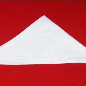 Текстиль (Россия) Платок шейный БЕЛЫЙ /1/